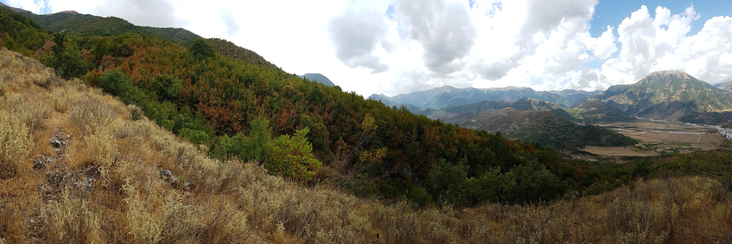 20170903 131205 Scaled