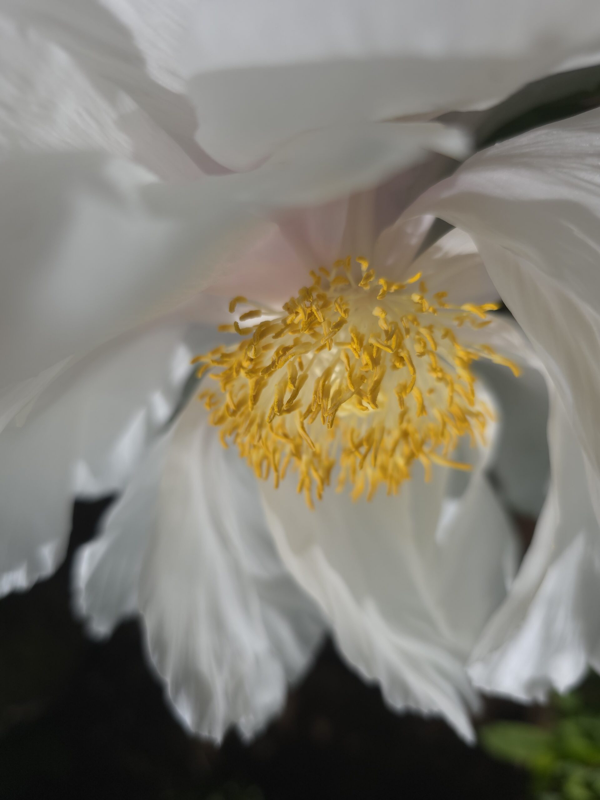 20250601 125242 Scaled