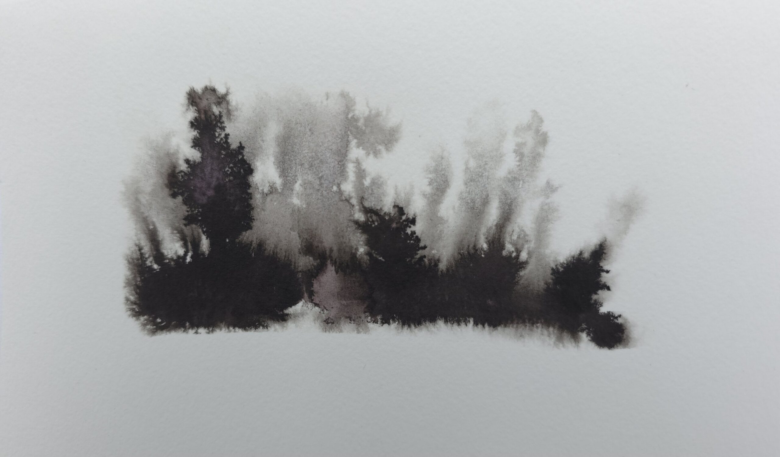 20250627 163605 Scaled