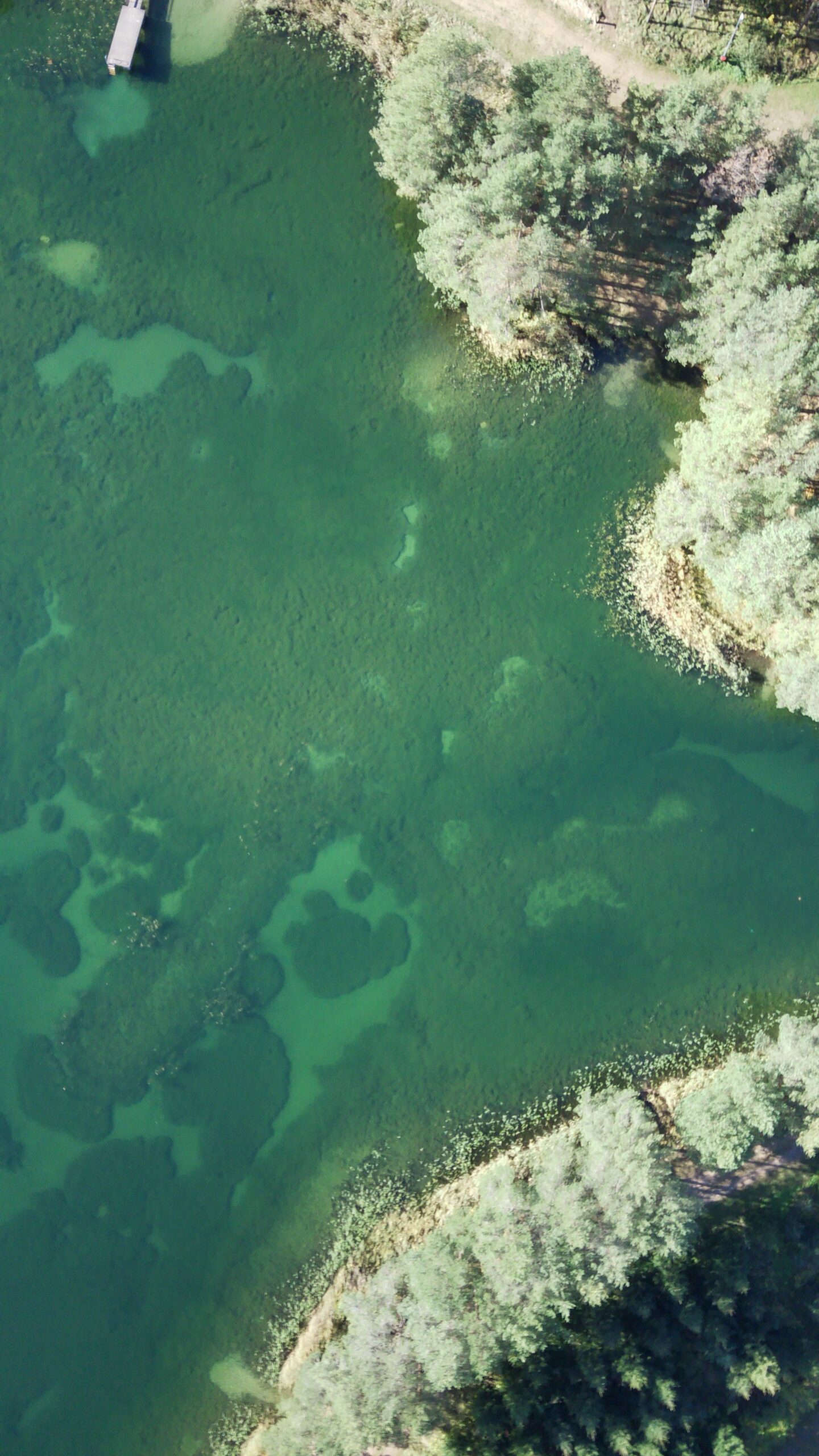 FIMI0006 Pusti Scaled